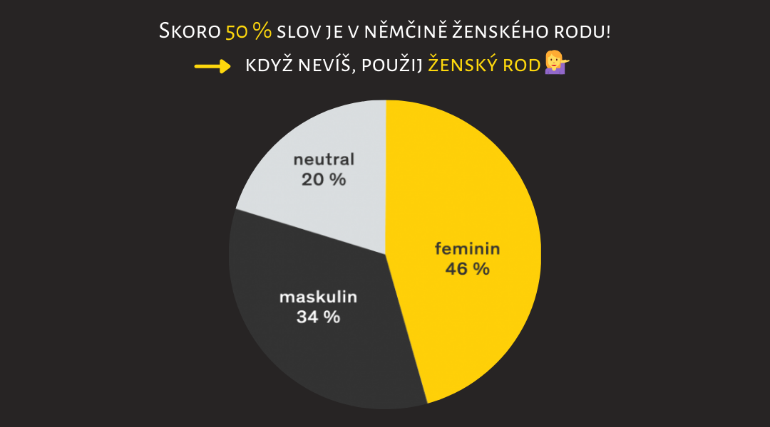 členy ženský rod